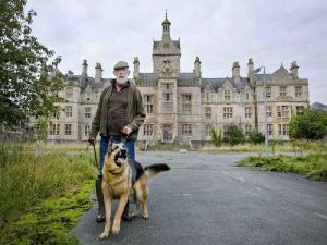 denbigh dog sm 1.jpg